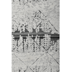 Monochrome Grove
