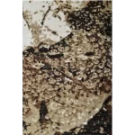 Fossil Bloom - Image 2
