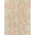 Ambar - Image 2